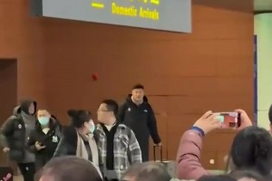 广东男篮落地辽宁，辽宁球迷对广东球员大喊：1234我爱辽篮！
